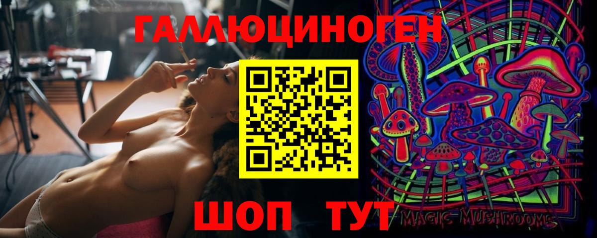 Псилоцибиновые грибы Psilocybine cubensis Муром