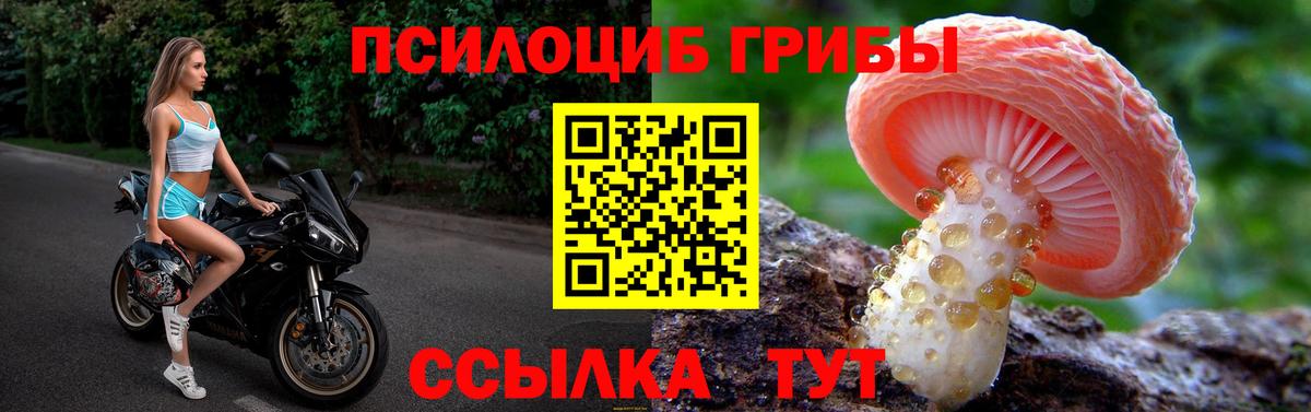 Муром  Галлюциногенные грибы прущие грибы  где найти наркотики  Вход с VPN 